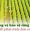 Bảo Vệ Tài Nguyên Rừng Và Đất Rừng