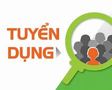 Bình Định Tuyển Dụng 2024