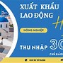 Công Ty Xklđ Vinacom 360 Việt Nam Lừa Đảo Không Qua Mạng Internet