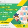 Học Bổng Tài Trợ Ueh Là Gì 2024 Là Sao