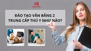 Văn Bằng 2 Trung Cấp Thú Y